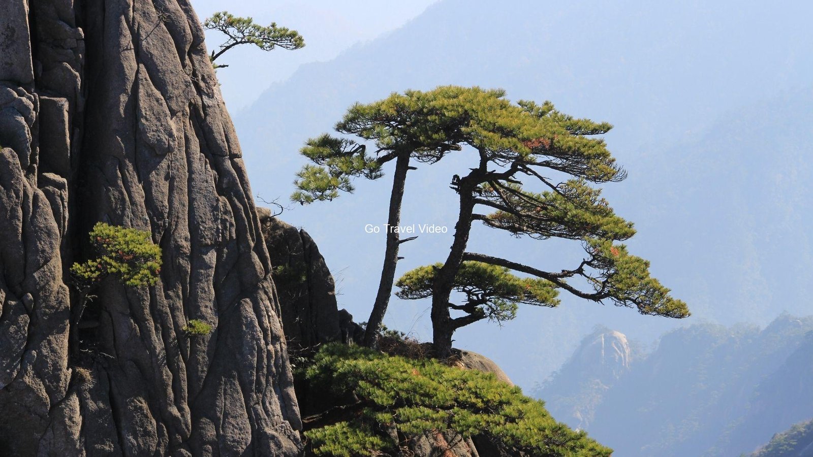 A picture containing tree, outdoor, rock, plant

Description automatically generated